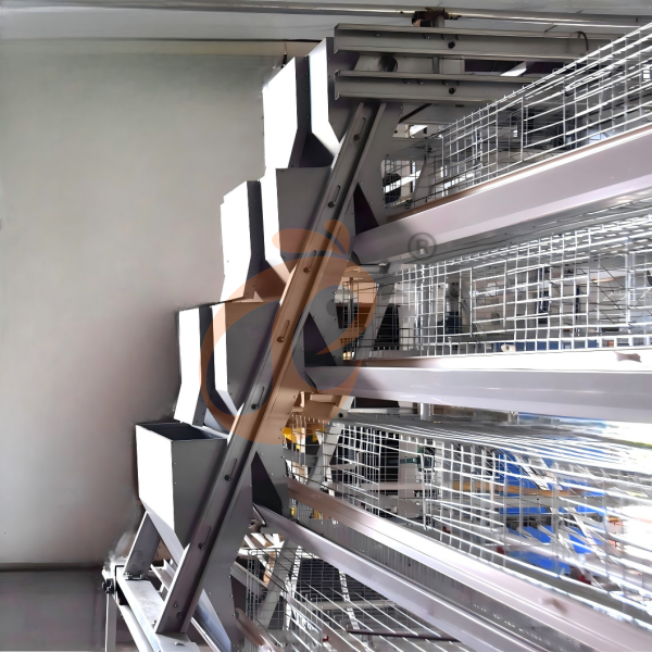 Poultry feeding system (4)