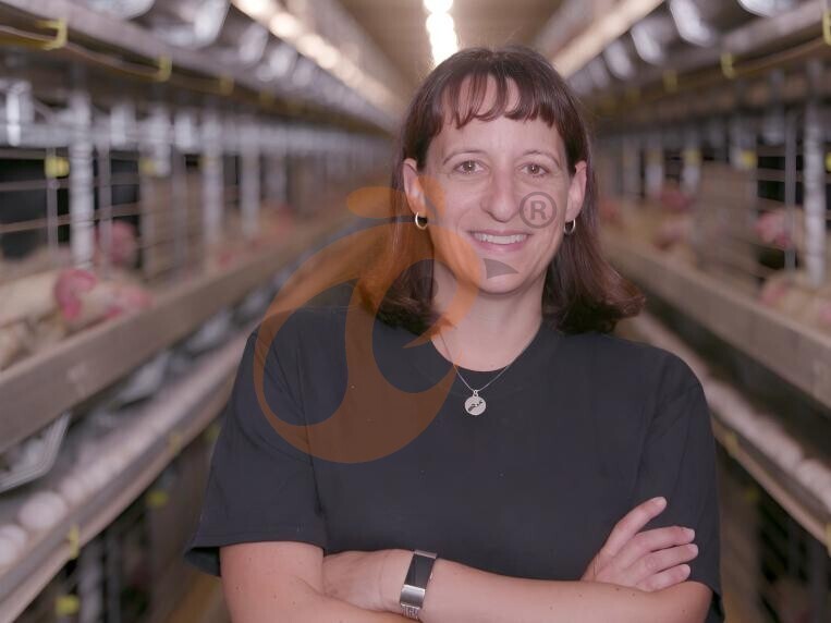 battery cage poultry farming (2)