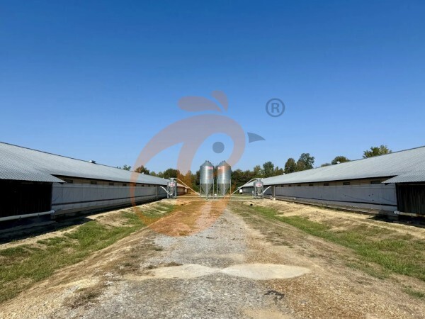 large poultry farm house (2)