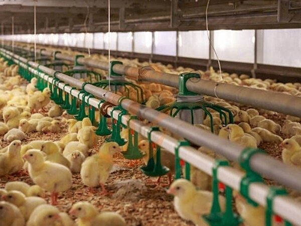 1761633631841686214051078144