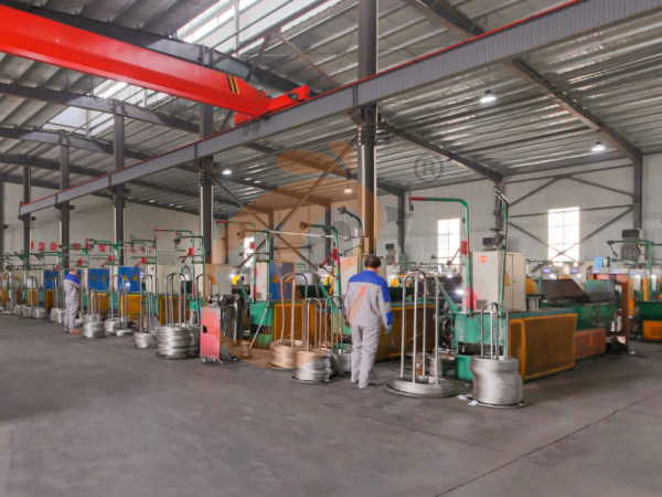 La sucursal de China ofrece un plan de negocio para granjas avícolas y fabrica equipos para granjas avícolas