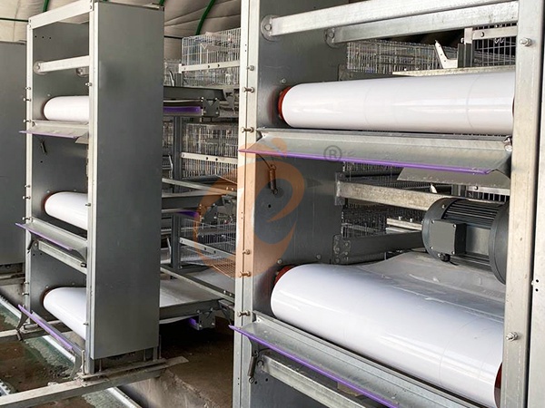 Guía de compra de equipos automáticos de eliminación de estiércol: marcas, precios y palabras clave de búsqueda populares