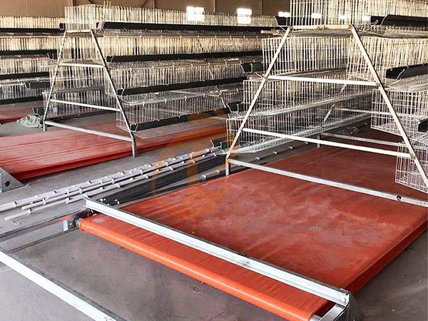Manure Removal System2 (2)