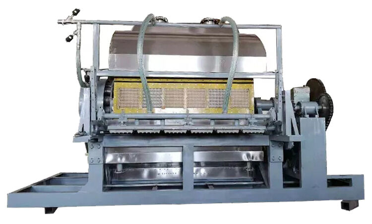 Equipo para bandejas de huevos