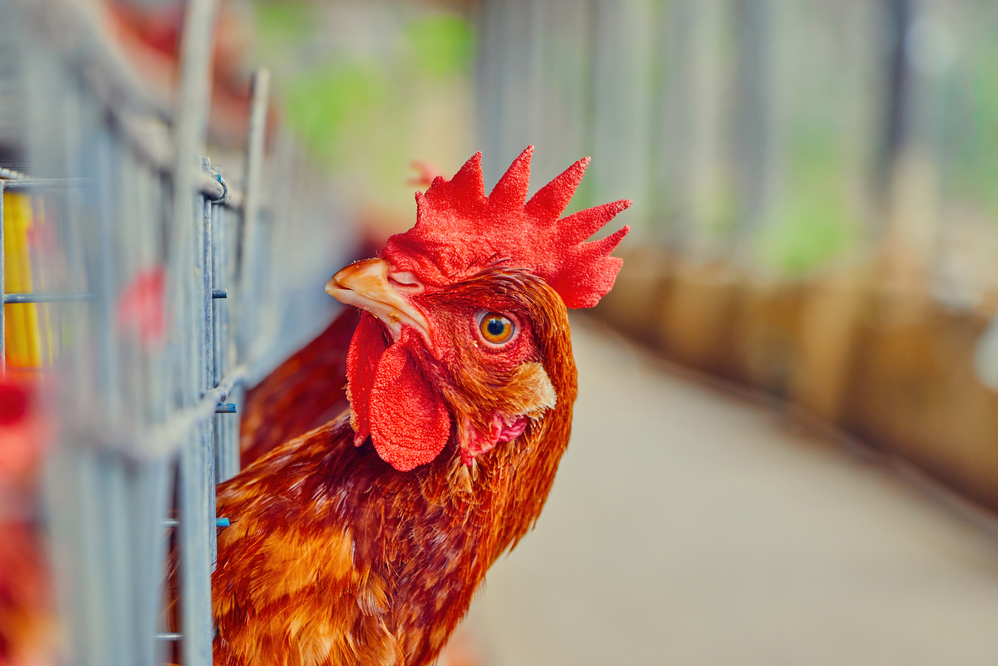 Cinco aspectos de la gestión de capas