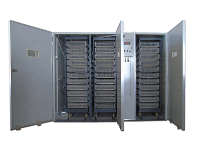 Equipo de incubación de huevos