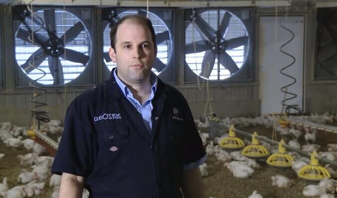 Regulación de la temperatura y efectos del entorno en la cría de pollos