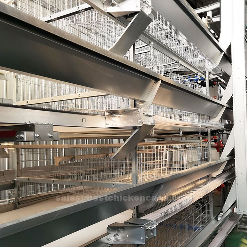 鸡笼或蛋鸡笼H (67).jpg