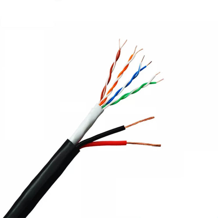 Network Cable