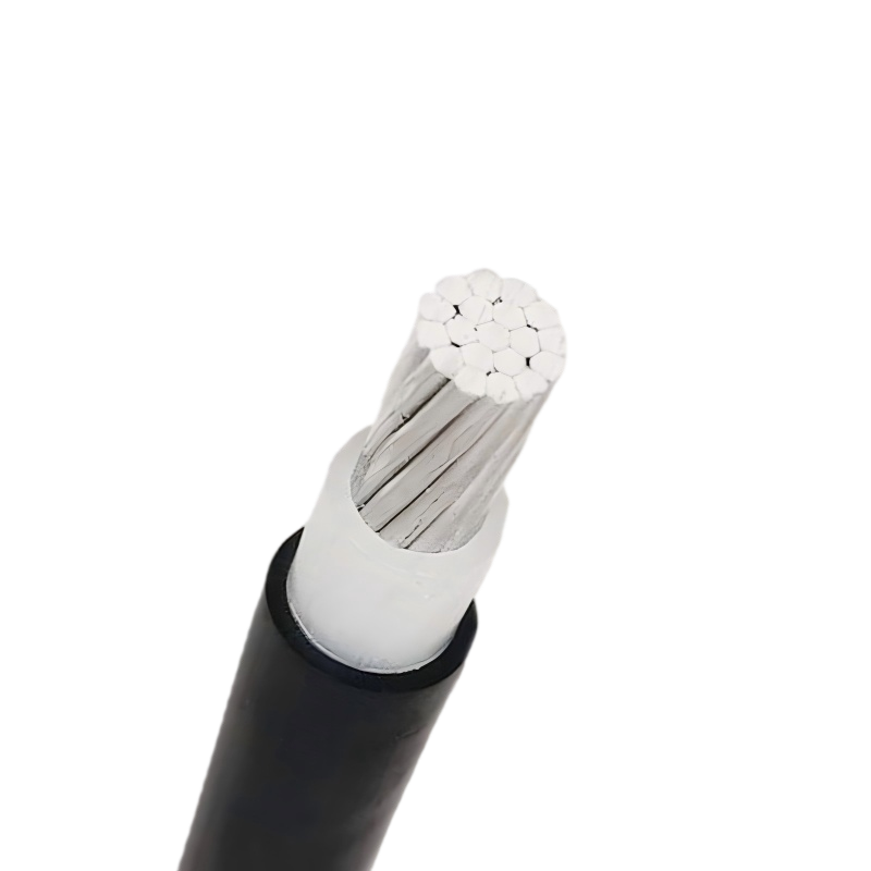 XLPE Insulated Single Core 50mm2 Aluminum Cable 1x50mm2 XLPE Insulated Single Core 50mm2 Aluminum Cable 1x50mm2