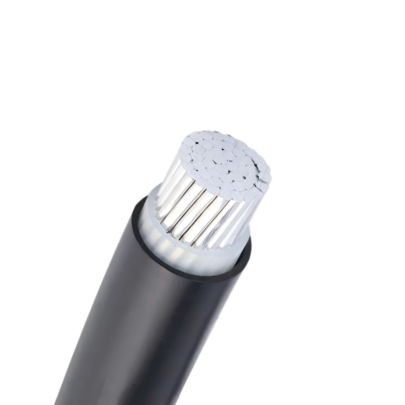 XLPE Insulated Single Core 300mm2 Aluminum Cable 1x300mm2 XLPE Insulated Single Core 300mm2 Aluminum Cable 1x300mm2