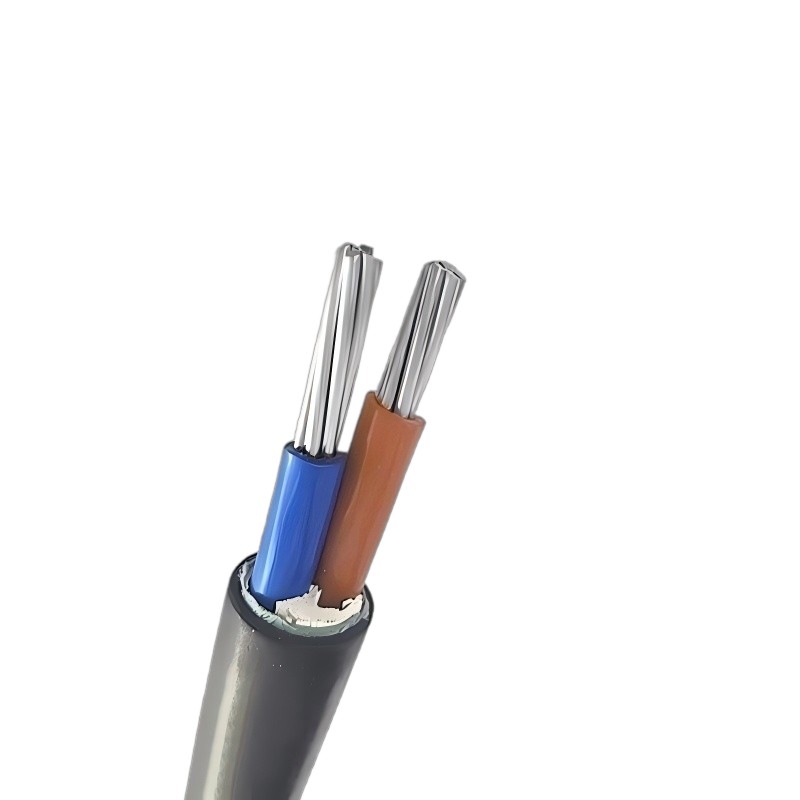 XLPE Insulated 25mm2 2 Cores Aluminum Cable 2x25mm2 XLPE Insulated 25mm2 2 Cores Aluminum Cable 2x25mm2