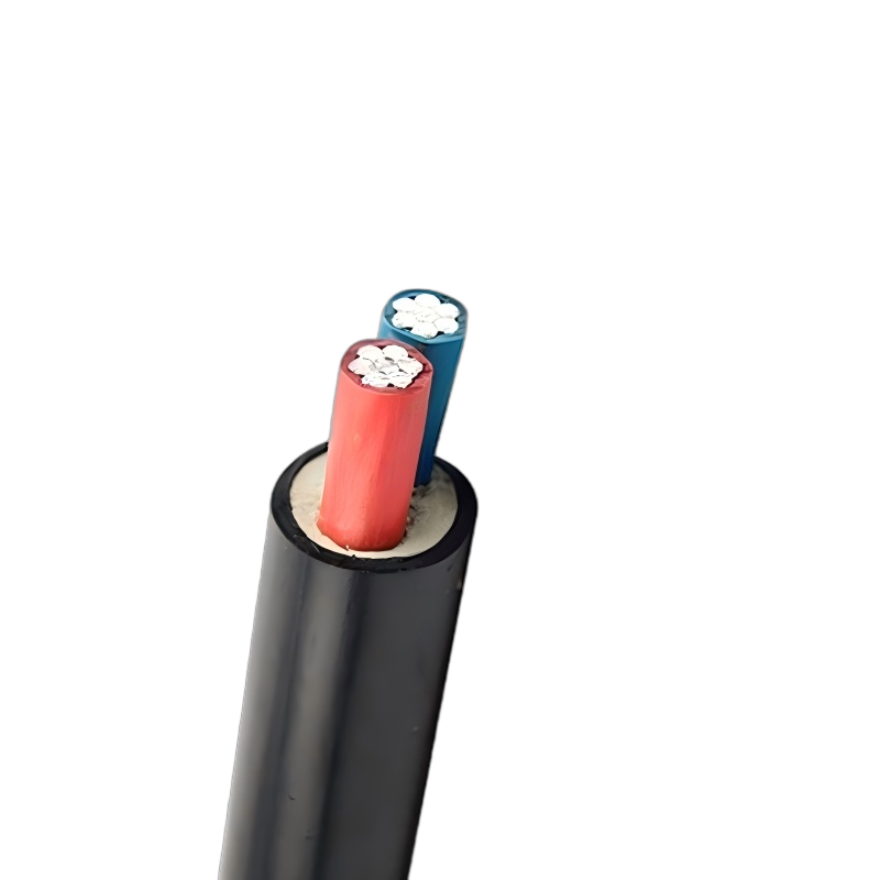 2 Cores XLPE Insulated PVC Sheathed Aluminum Cable Unarmoured 0.6/1kV 2 Cores XLPE Insulated PVC Sheathed Aluminum Cable Unarmoured 0.6/1kV