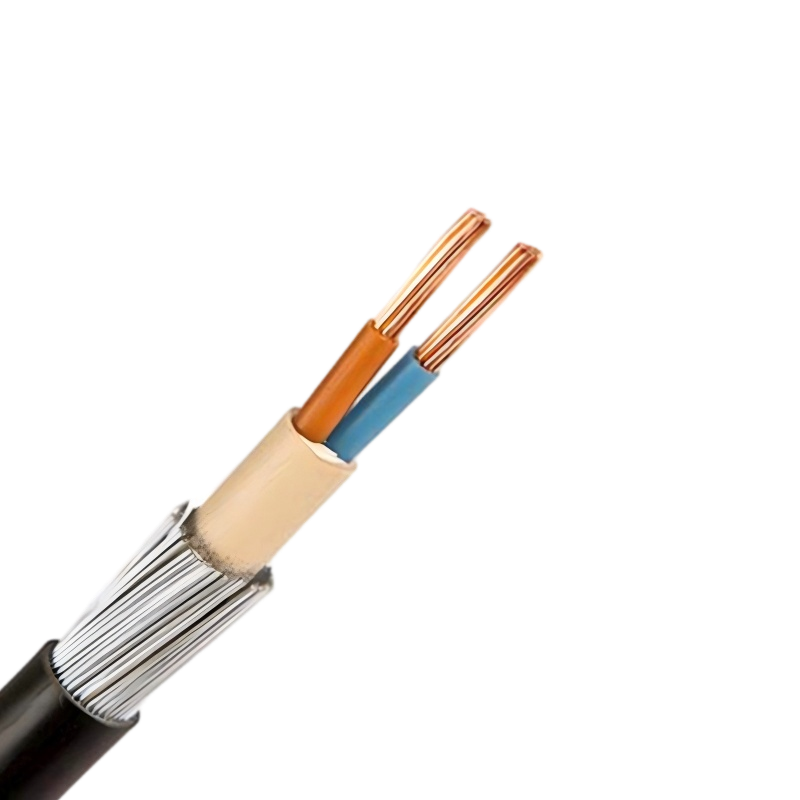 10mm 2 Core Steel Wire Armoured SWA Cable 10mm 2 Core Steel Wire Armoured SWA Cable
