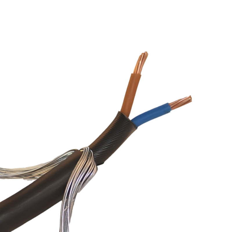 2 Core Armoured Cable Copper Cu/XLPE/PVC/SWA/PVC BS5467 0.6/1kV 2 Core Armoured Cable Copper Cu/XLPE/PVC/SWA/PVC BS5467 0.6/1kV