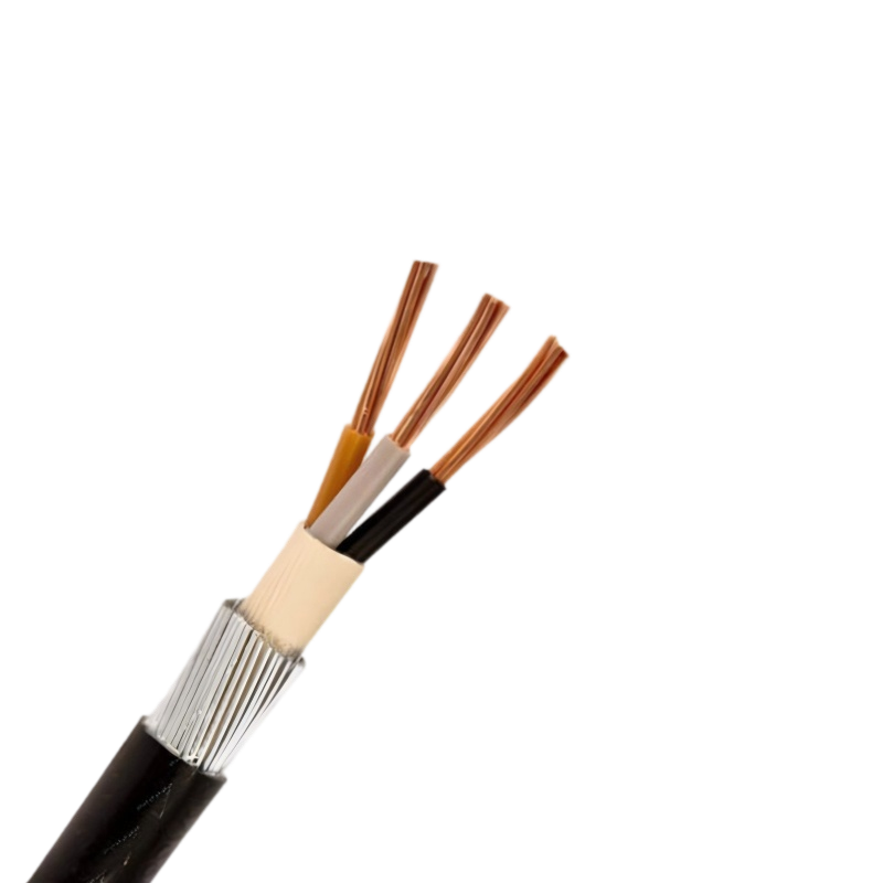 2.5mm 3 Core Steel Wire Armoured SWA Cable 2.5mm 3 Core Steel Wire Armoured SWA Cable