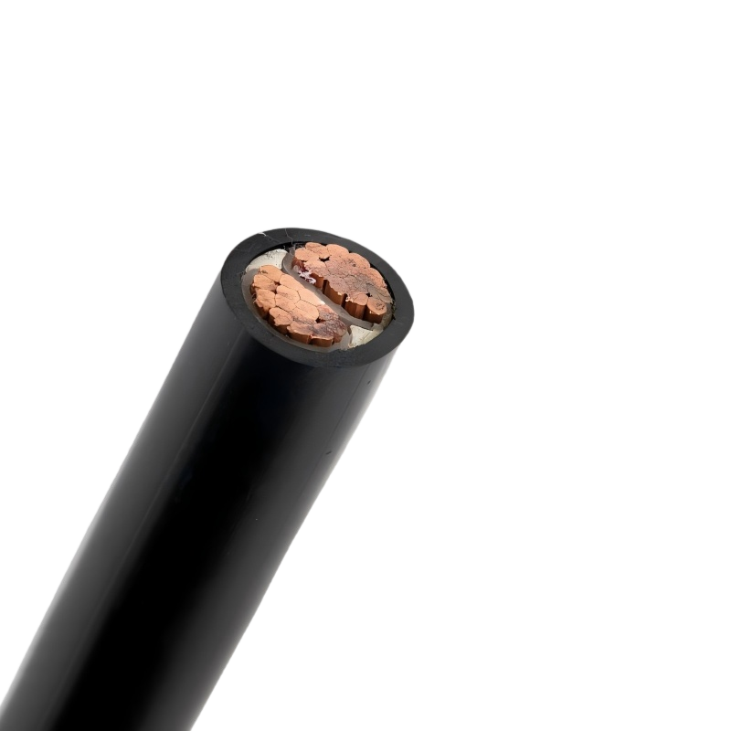 XLPE Insulated 70mm2 2 Cores Copper Cable 2x70mm2 XLPE Insulated 70mm2 2 Cores Copper Cable 2x70mm2