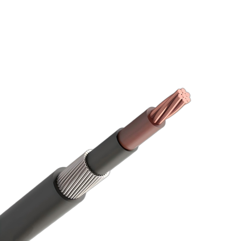 50mm2 Single Core 0.6/1KV Aluminium Wire Armoured AWA Cable 50mm2 Single Core 0.6/1KV Aluminium Wire Armoured AWA Cable