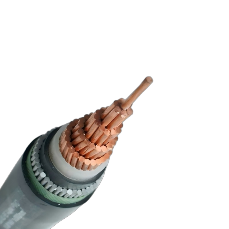 300mm2 Single Core 0.6/1KV Aluminium Wire Armoured AWA Cable 300mm2 Single Core 0.6/1KV Aluminium Wire Armoured AWA Cable