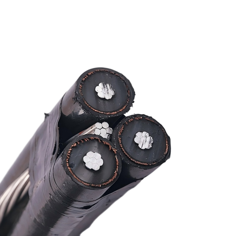 How Often Should You Inspect ACSR Cables in Substations?