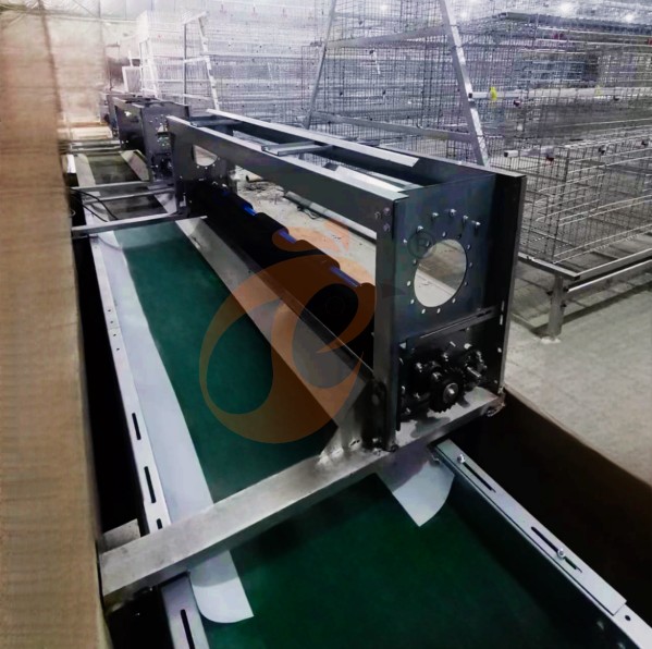 battery cage system for layer (38)