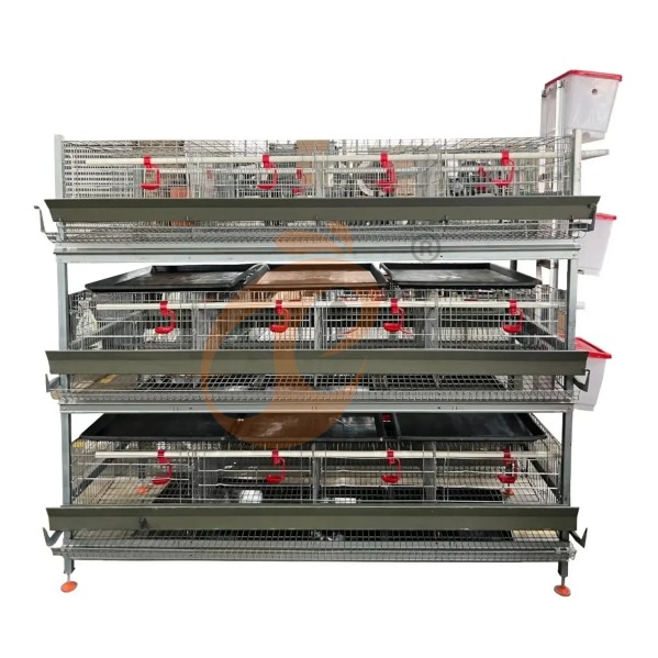 Battery cage system for brooder (2) Battery cage system for brooder (2)