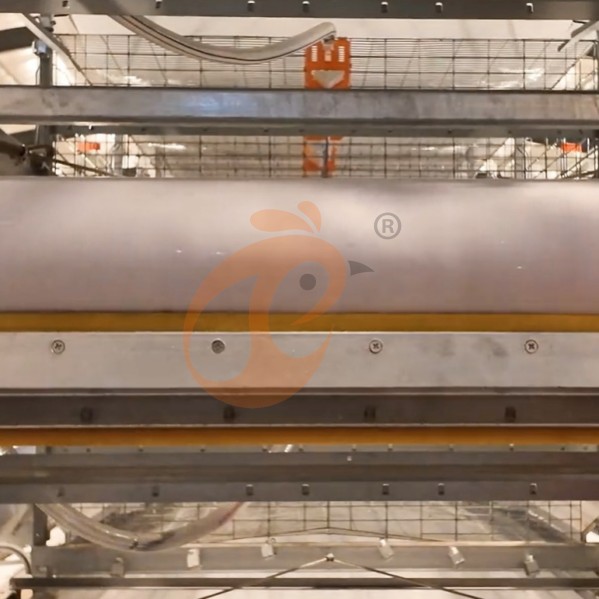 Battery cage system for brooder (6) Battery cage system for brooder (6)
