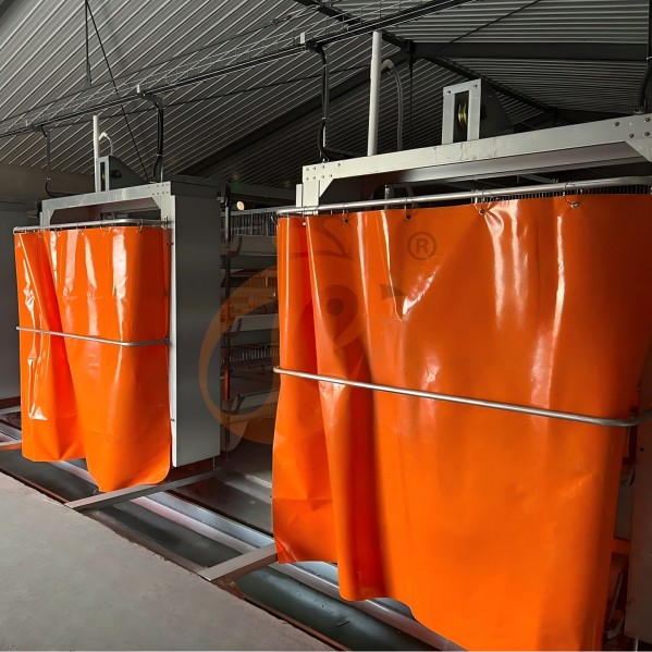 Battery cage system for brooder (20) Battery cage system for brooder (20)
