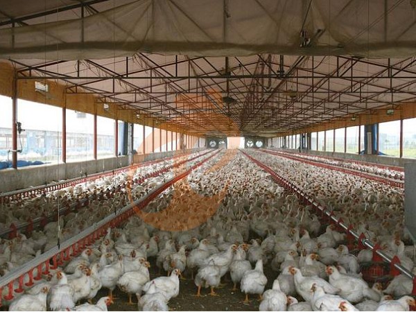 1761626718841657220677218304