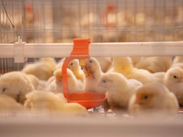 Resumo do caso dos clientes