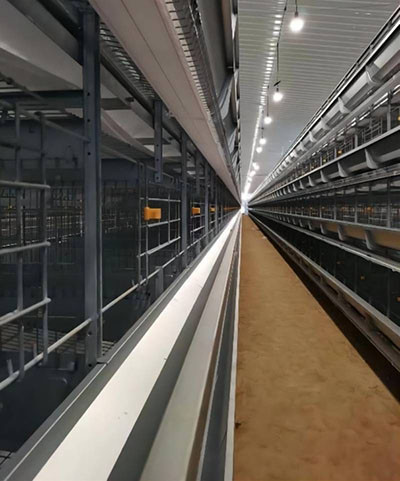 Luoto finished a turnkey project of 30,000 birds p