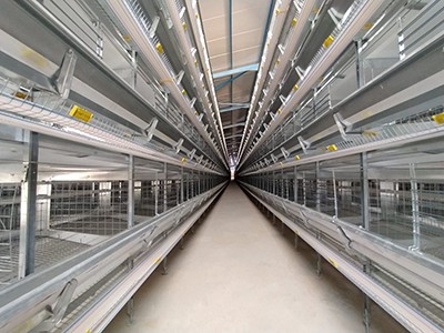 Luoto finished layer project of 100,000 birds in W