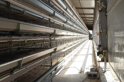 Luoto finished layer project of raising 73,440 bir