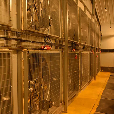 What is poultry farm liking with chicken cage in T