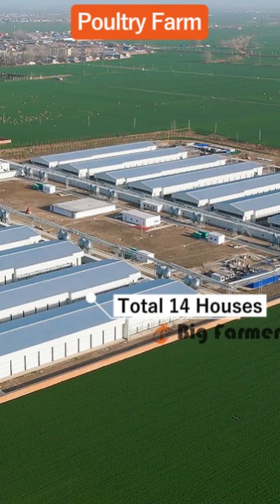 Layer battery cage system (4)