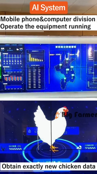Layer battery cage system (6)