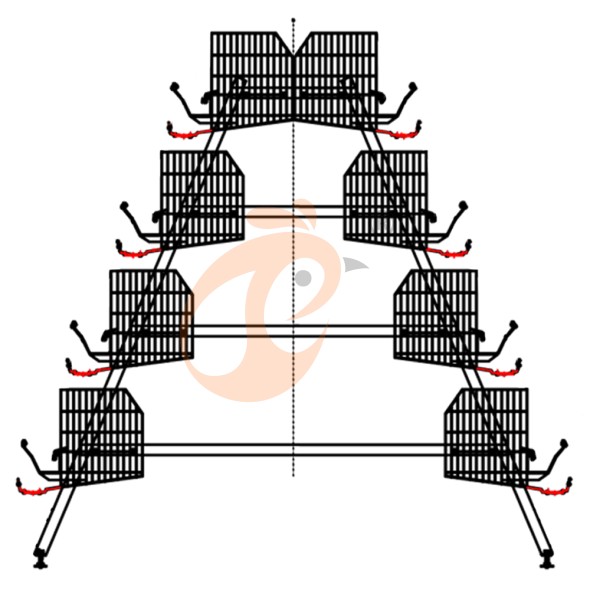 battery cage system for layer (30)