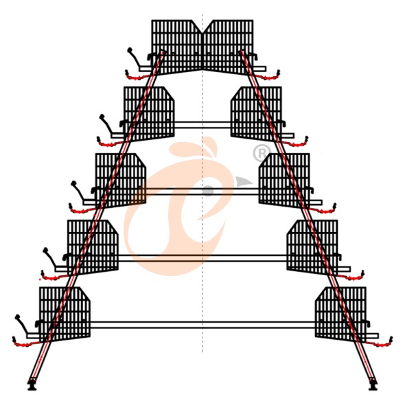 battery cage system for layer (31)