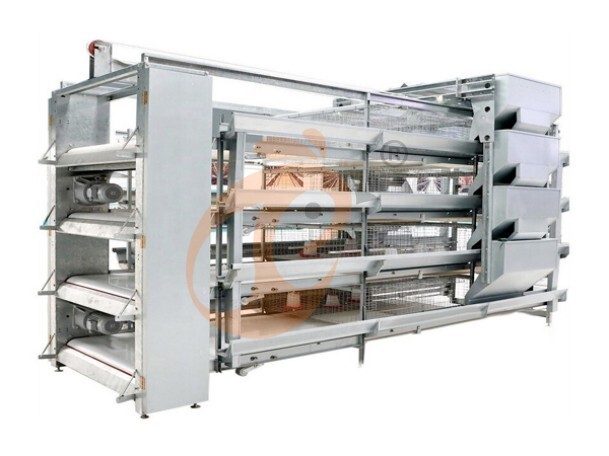 battery cage system for brooder (1)