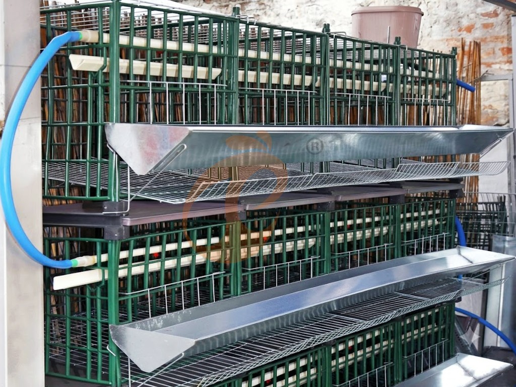 Integrated Facilities4 (4) Integrated Facilities4 (4)