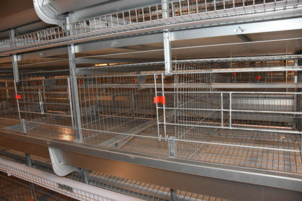 Best finished 1,800 units of layer battery cage f