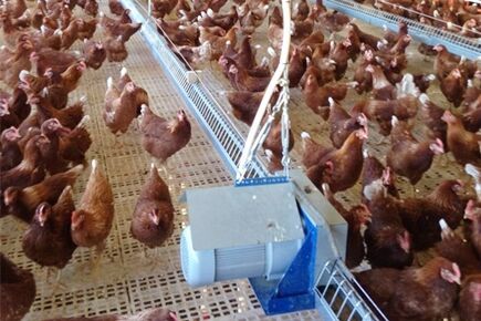 Luoto finished breeder project of breeder floor ra