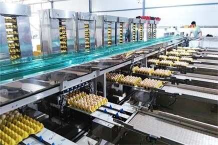 Luoto finished layer project of 30,000 square mete