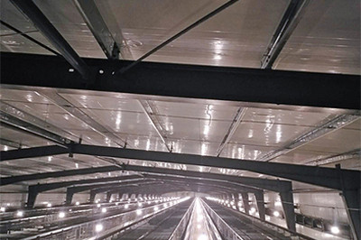 Luoto finished layer project of 34,000 birds with Luoto finished layer project of 34,000 birds with