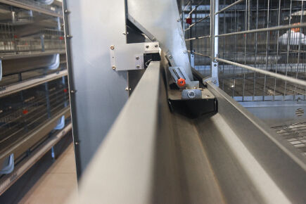 Luoto finished layer project of automatic chicken 