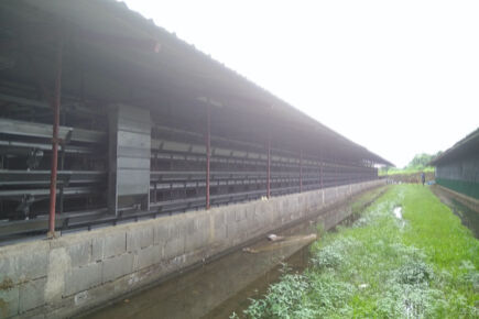 Luoto finished layer project with  50m by 14m by 4
