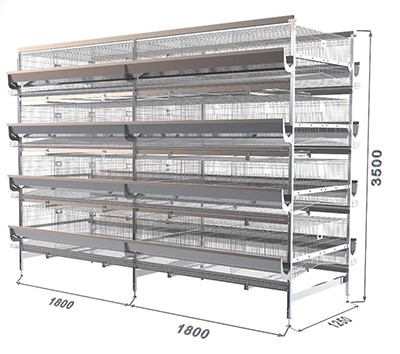 How to order for layer chicken cages according to