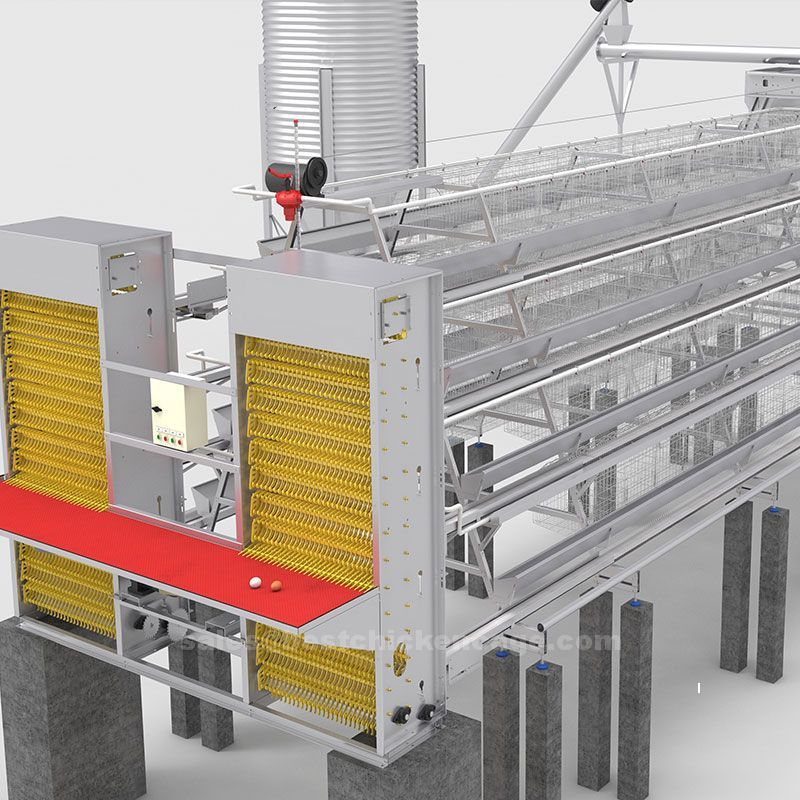 The development of poultry farming cage