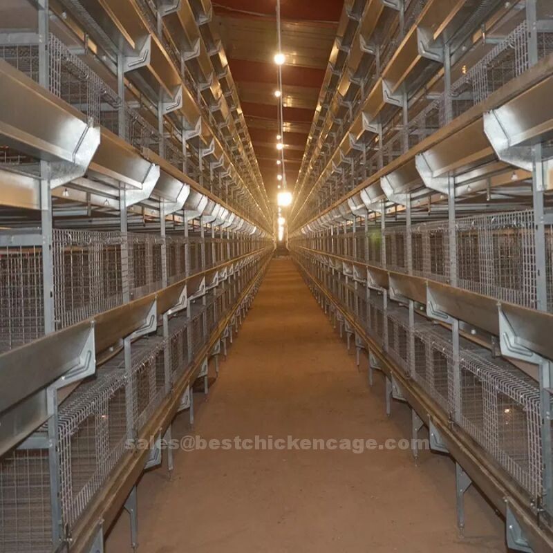 Why key features of H-type layer chicken cages include horizontal frame design and easy cleaning and maintenance etc