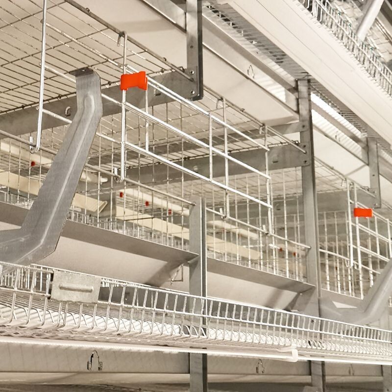 Steel structure poultry fattening chicken farm shed making it an ideal choice for housing chickens